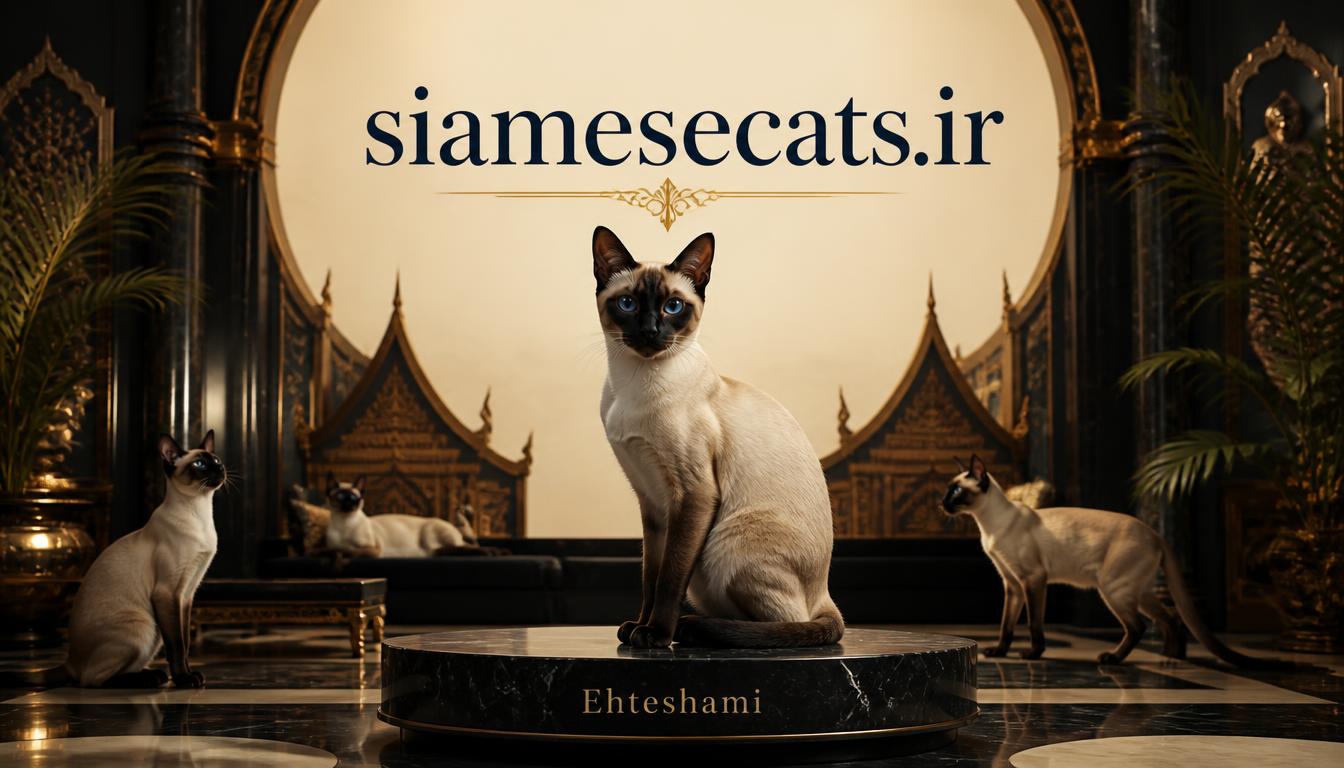 siamesecats.ir